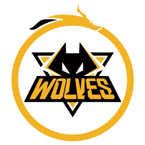 在球迷心中 在球迷心中