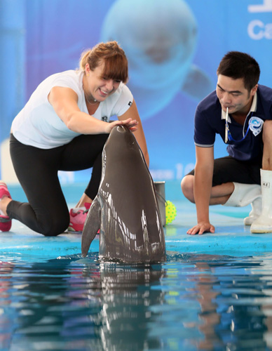 的战术体系 的战术体系