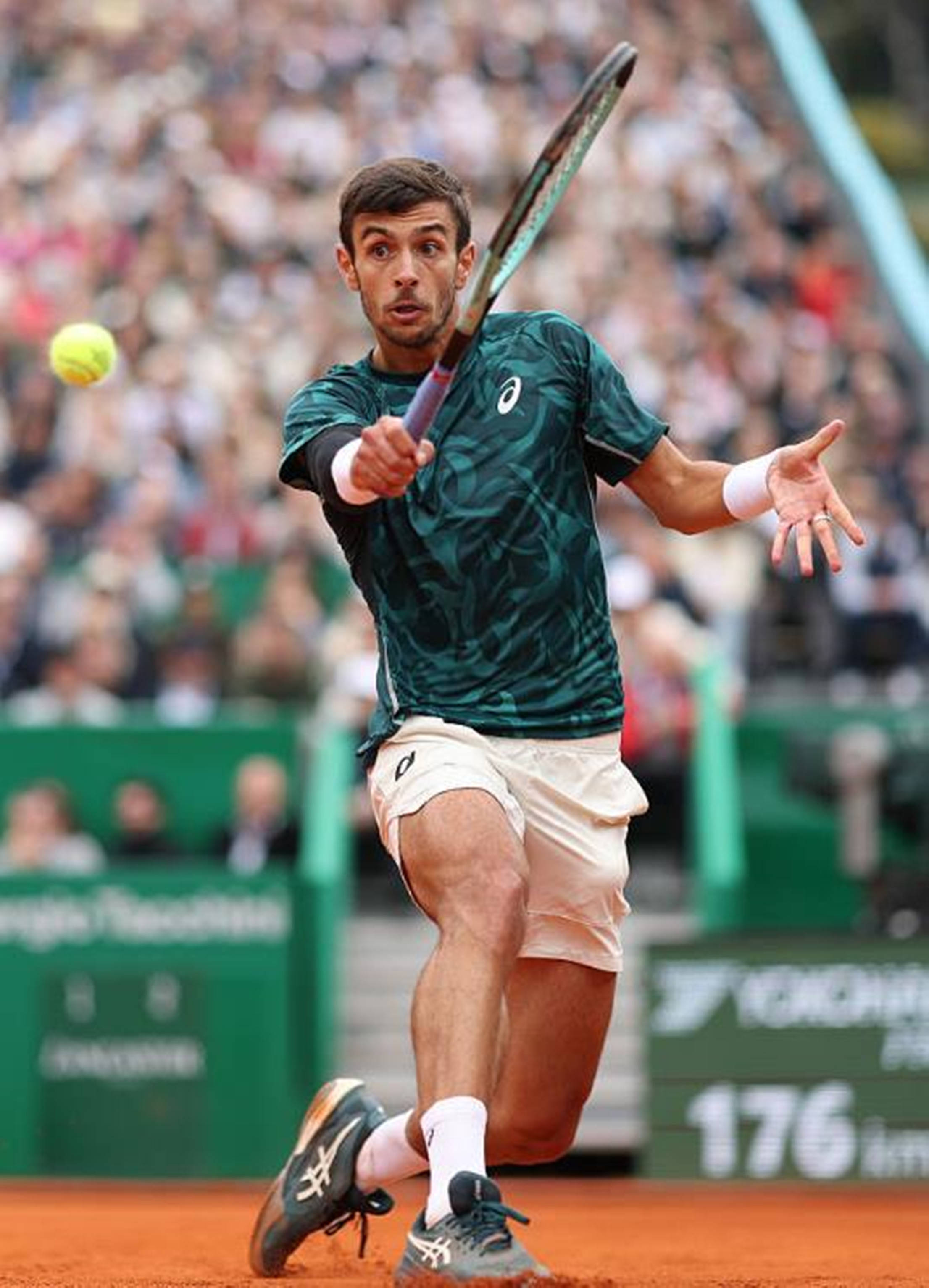 马赛的赛季 马赛的赛季